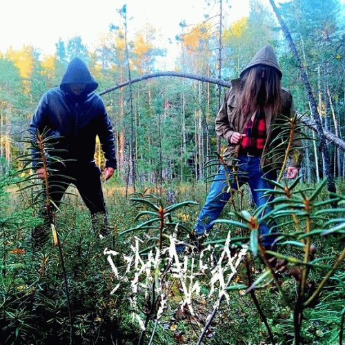 Alkukantaisen Viisauden Äärelle